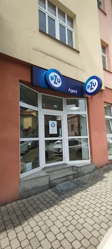 PZU Ubezpieczenia Wodzisław Śląski - Agent Magdalena Szymańska